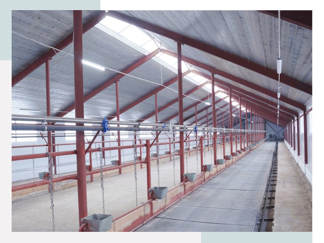 Строительство коровников в Южном-Сахалинске от 620 руб.