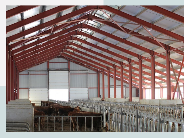 Строительство коровников в Южном-Сахалинске