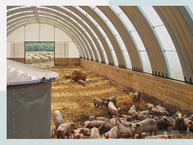 Строительство свинарников в Южном-Сахалинске